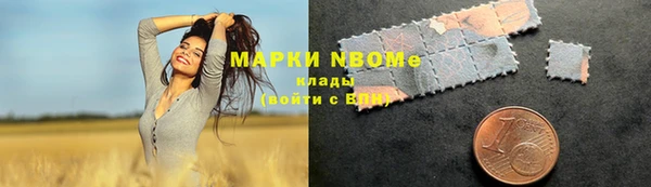 прущие грибы Бикин