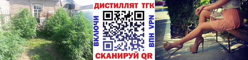 Дистиллят ТГК THC oil  Мураши 